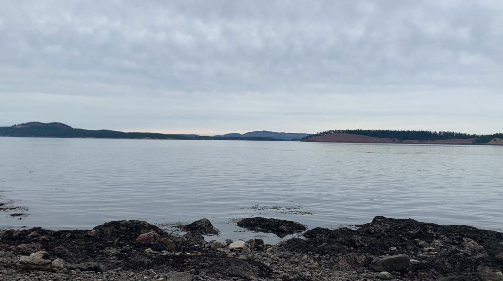 View of the water from Posey Island.