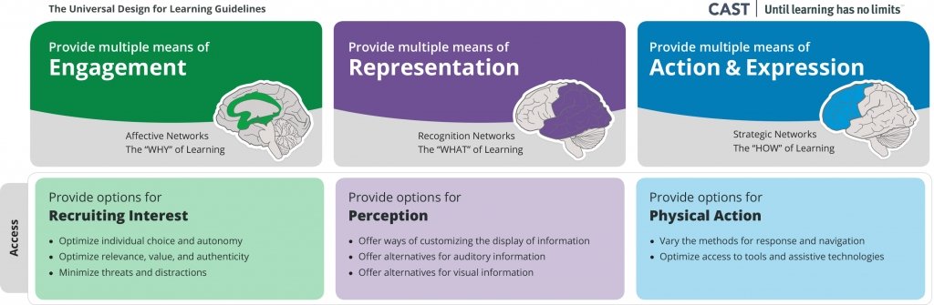 Universal Design for Learning: Basics, Barriers, & Beyond